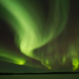 Jeris week 45 12-5493